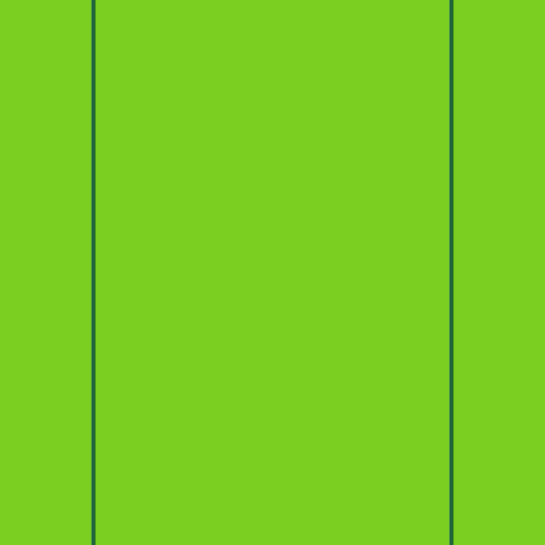 Plain Cotton 210 TC Designer Bedsheet with Pillow Covers - Fluorescent Green