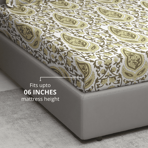 Paisley 210 TC cotton fitted bedsheet fits mattress up to 6 inches