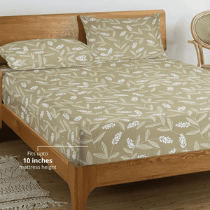 Printed Floral Cotton 250 TC Fitted Bedsheet with Pillow Covers - Brown