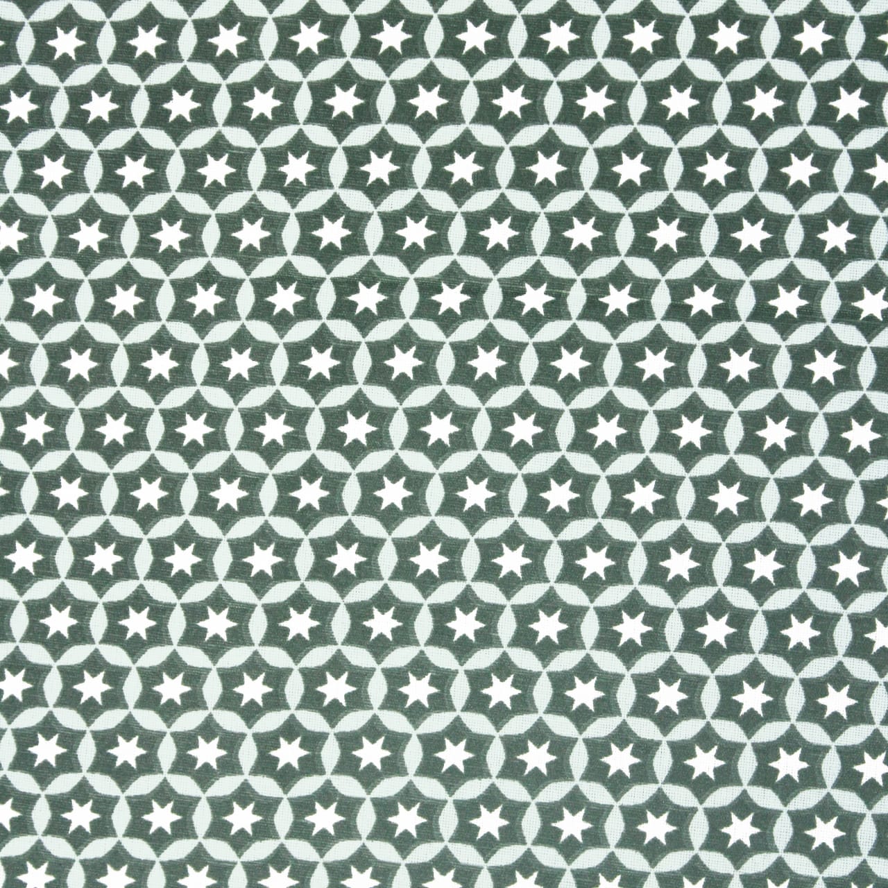 Soft Green Cotton Reversible Dohar with Iris Designer Border At Best Prices