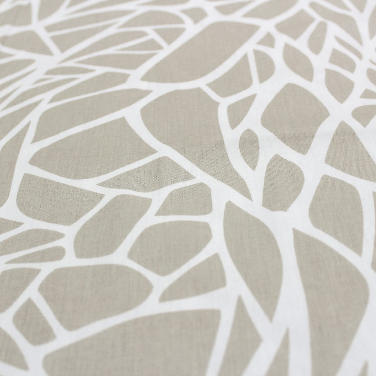 Soft 250 TC Printed Floral Cotton Fitted Bedsheet in Brown online at best prices