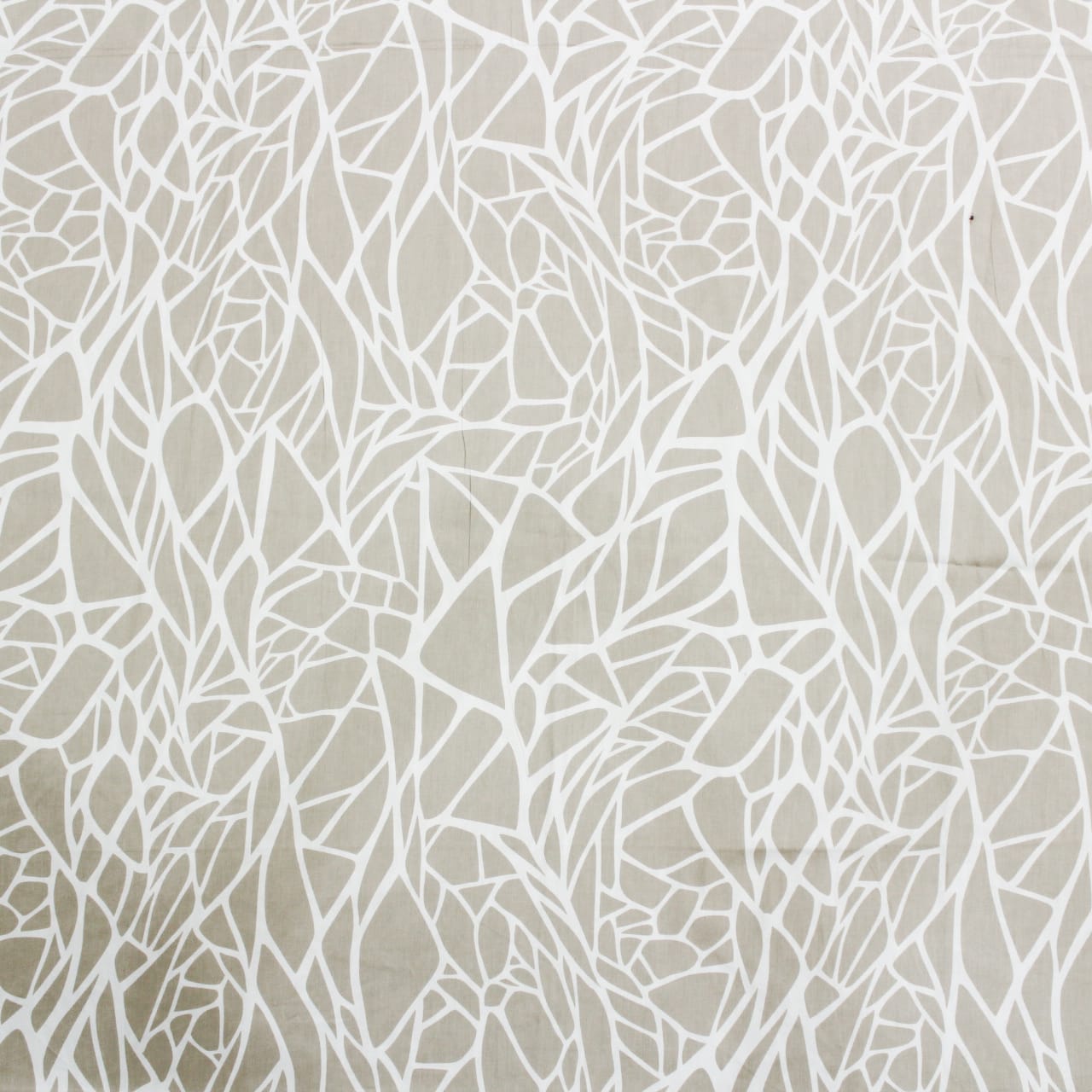 Soft 250 TC Printed Floral Cotton Fitted Bedsheet in Brown online at best prices