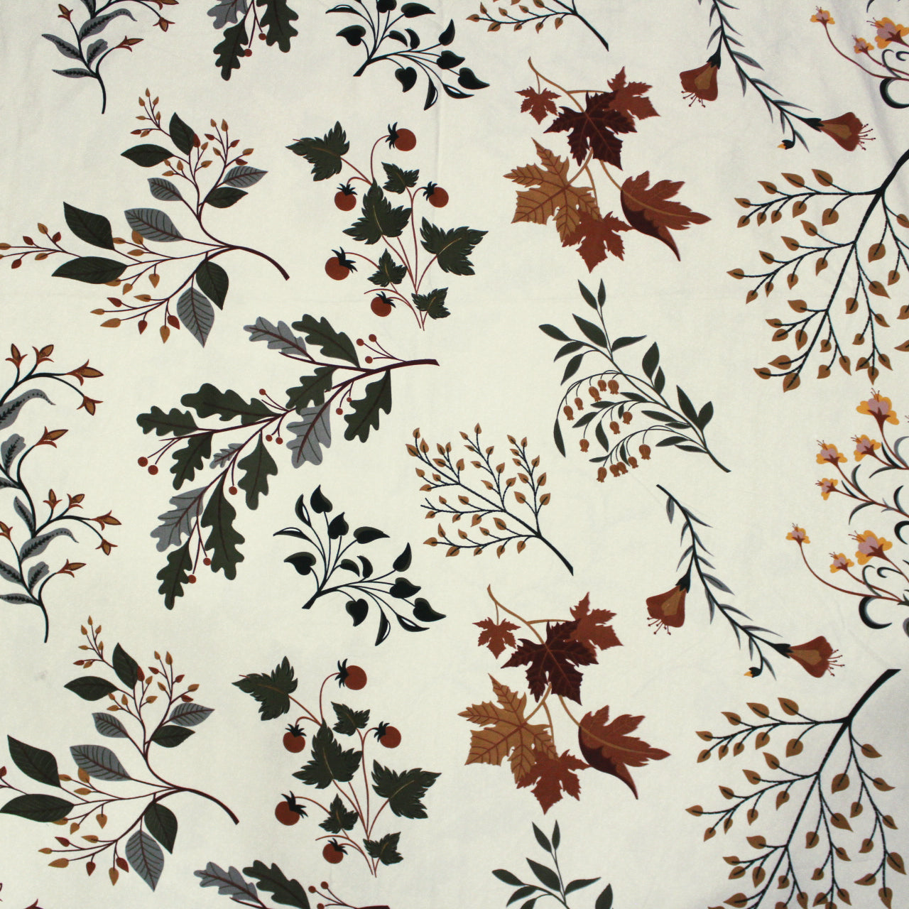 Floral 210 TC Cotton Bedsheet Design   