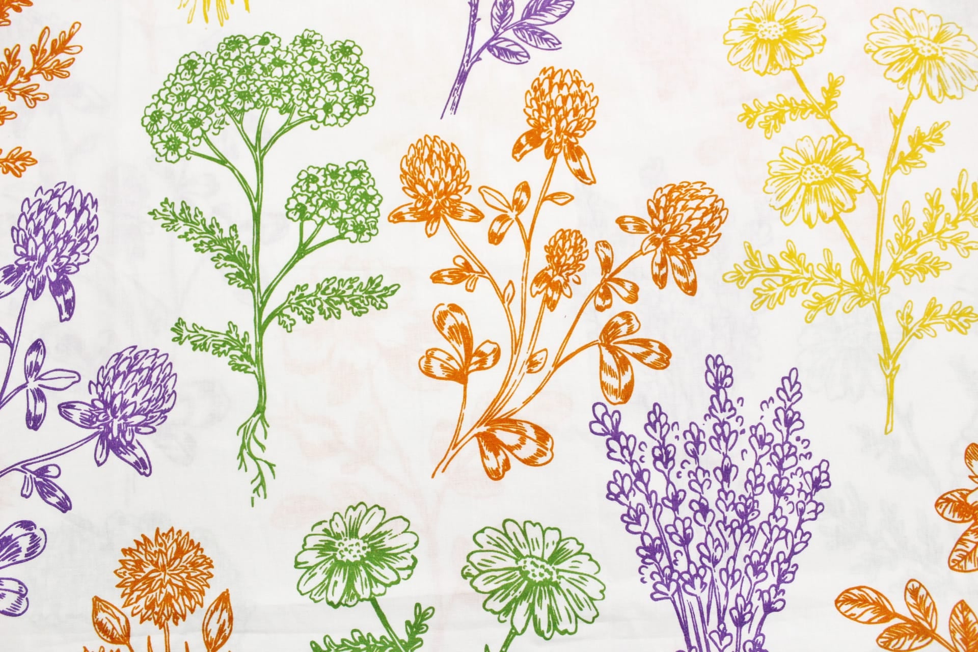 Printed Floral Cotton 250 TC Duvet Cover - Orange