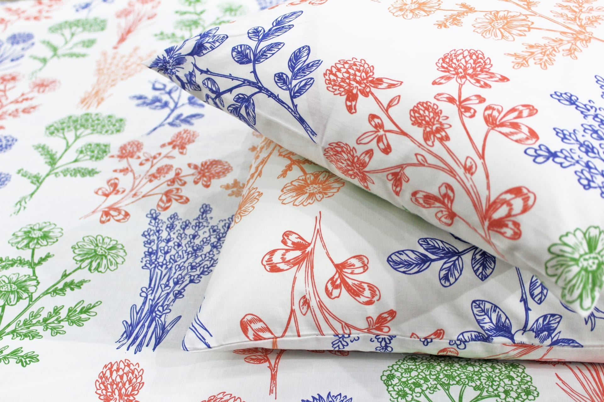 Printed Floral Cotton 250 TC Fitted Bedsheet - Blue