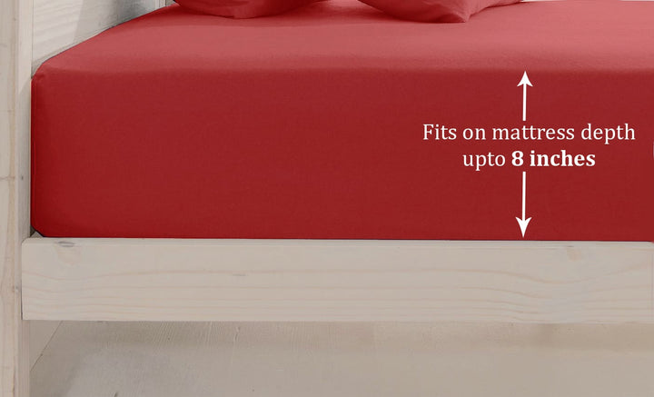 Soft Rust 210 TC Plain Cotton Fitted Bedsheet(Single) online in India
